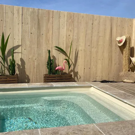 Mas Des Oliviers, Maison Avec Piscine Privative Et Chauffee Locamargue Saintes-Maries-de-la-Mer Exterior photo