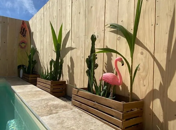 Mas Des Oliviers, Maison Avec Piscine Privative Et Chauffee Locamargue