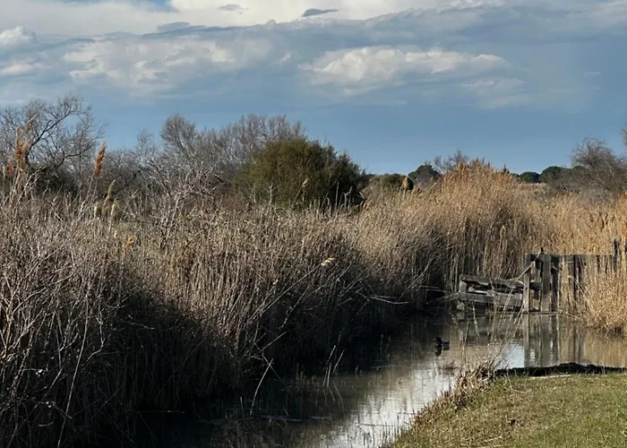 Mas Des Oliviers, Maison Avec Piscine Privative Et Chauffee Locamargue