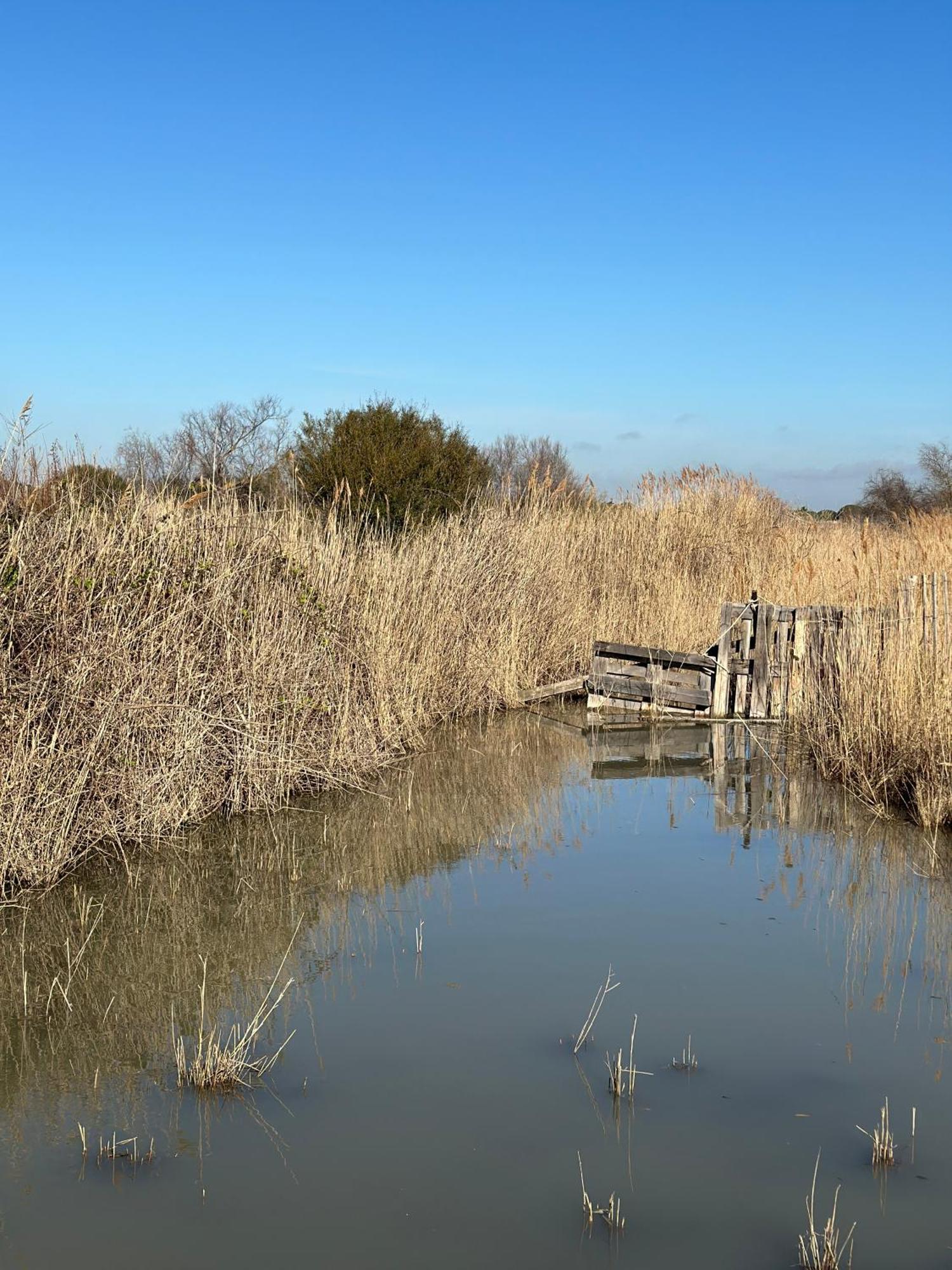 Mas Des Oliviers, Maison Avec Piscine Privative Et Chauffee Locamargue Holiday home *